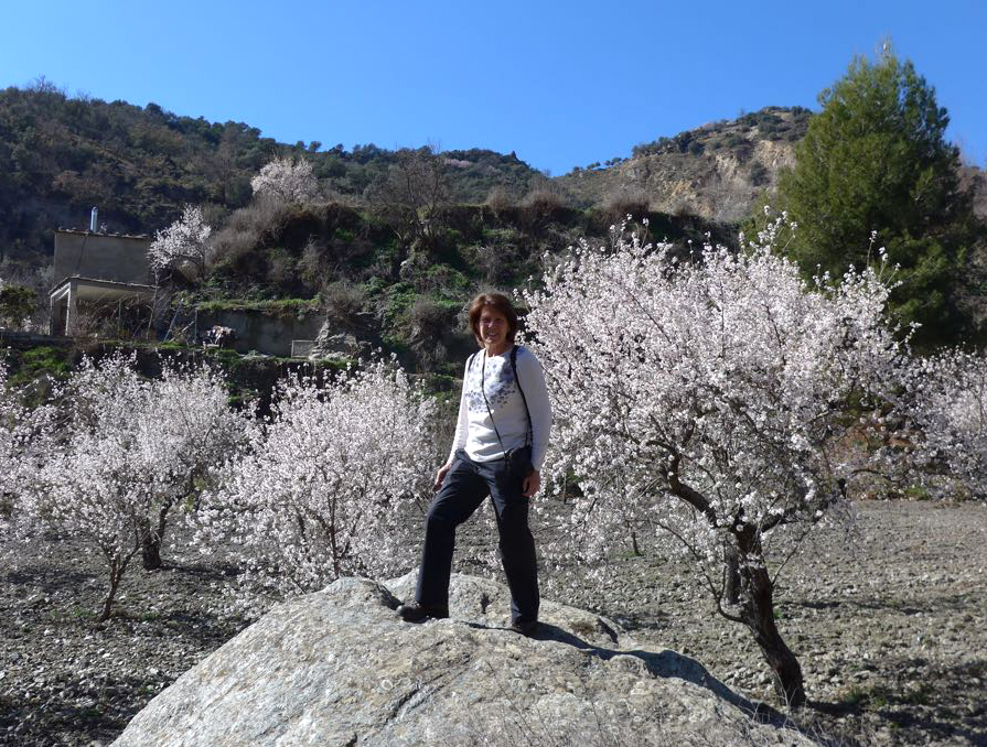 Blossomed almond trees along the route from Berchules to Cadiar